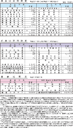 平成20年度 学校法人千葉敬愛学園決算報告