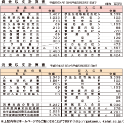 平成22年度 学校法人千葉敬愛学園予算書